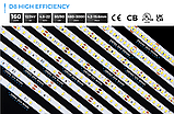 LED стрічка COLORS 192-2835-24V-IP20 16W 2380Lm 6000K 5м (D8192-24V-10mm-W), фото 7