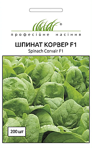 Насіння шпинату Корвер F1 1г Професійне насіння