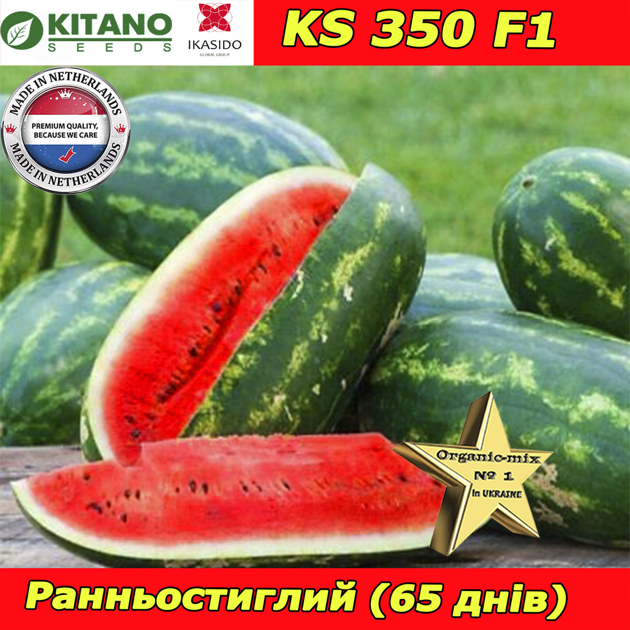 Ранній, великий, цукровий кавун КS 350 F1, 1000 насінин, KITANO SEEDS (Нідерланди)