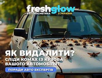 Як видалити сліди комах із кузова автомобіля?