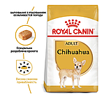 Корм для дорослих собак породи Чихуахуа ROYAL CANIN CHIHUAHUA ADULT 0.5 кг, фото 3