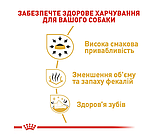 Корм для дорослих собак породи Чихуахуа ROYAL CANIN CHIHUAHUA ADULT 0.5 кг, фото 4