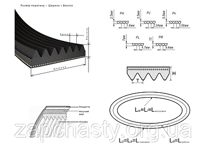 Ремінь 1860 PHE8 Hutchinson, Candy 90446634 (гумовий еластичний)