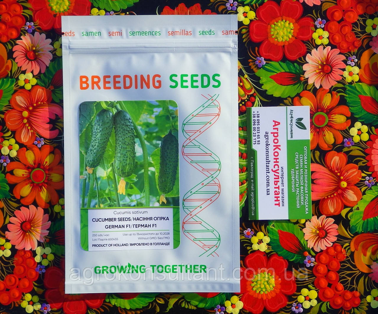 Насіння огірка Герман F1, 250 насінин - партенокарпік, ранній (36-42 дні), корнішонного типу