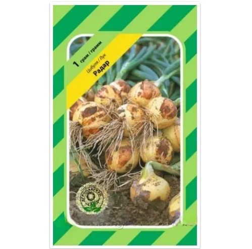 Цибуля озимова Радар 1 г, фото 1