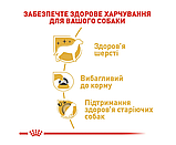 Корм для дорослих собак породи Йоркширський-тер'єр ROYAL CANIN YORKSHIRE ADULT 1.5 кг, фото 4