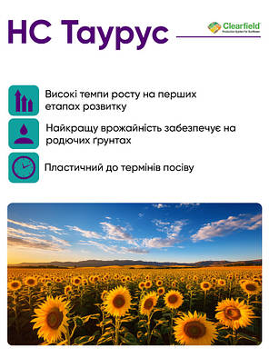 Насіння Соняшнику AgroSeme НС Таурус Екстра Під Євролайтінг, фото 4
