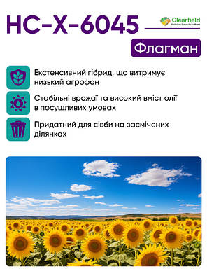 Насіння Соняшнику AgroSeme НС Х 6045 7+ Стандарт Під Євролайтінг, фото 4