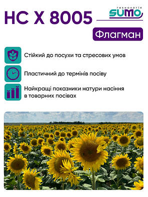 Насіння Соняшнику AgroSeme НС Х 8005 7+ Стандарт Під Гранстар, фото 4