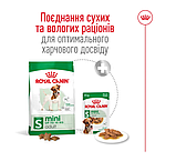Корм для дорослих собак малих порід ROYAL CANIN MINI ADULT 2 кг, фото 4