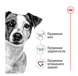 Корм для дорослих собак малих порід ROYAL CANIN MINI ADULT 2 кг, фото 2
