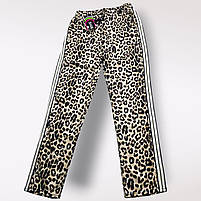 Спортивні штани жіночі оптом, M/L-XL/2XL pp, № Hay-JX-9521, фото 2