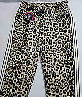 Спортивні штани жіночі оптом, M/L-XL/2XL pp, № Hay-JX-9521, фото 3