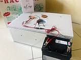 Інкубатор 12V, універсальний, для 54 яєць, з механічним переворотом, для домашнього господарства, фото 3
