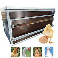 Профессиональный брудер 100, полный комплект, оптимальные условия для обогрева и развития цыплят
