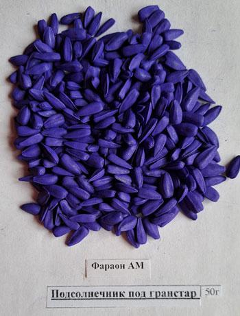 Семена Гусляр