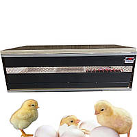 Брудер для цыплят, полный комплект, полупрофессиональный обогреватель, для использования в домашнем хозяйстве