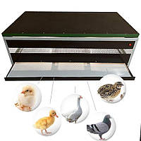 Брудер для цыплят, полупрофессиональный, обогрев, удобные условия для птиц