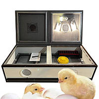 Универсальный брудер, 100, для разведения домашних птиц