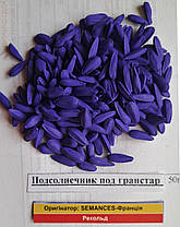 Насіння Соняшнику Рекольд Стандарт Під Гранстар, фото 3