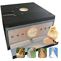 Брудер, на 50 птахів, ріст і розвиток курчат, для початківців та професіоналів