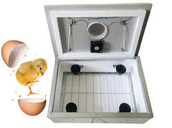 Інкубатор 12V, універсальний, для 54 яєць, з механічним переворотом, для домашнього господарства