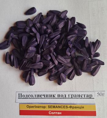 Семена Солтан