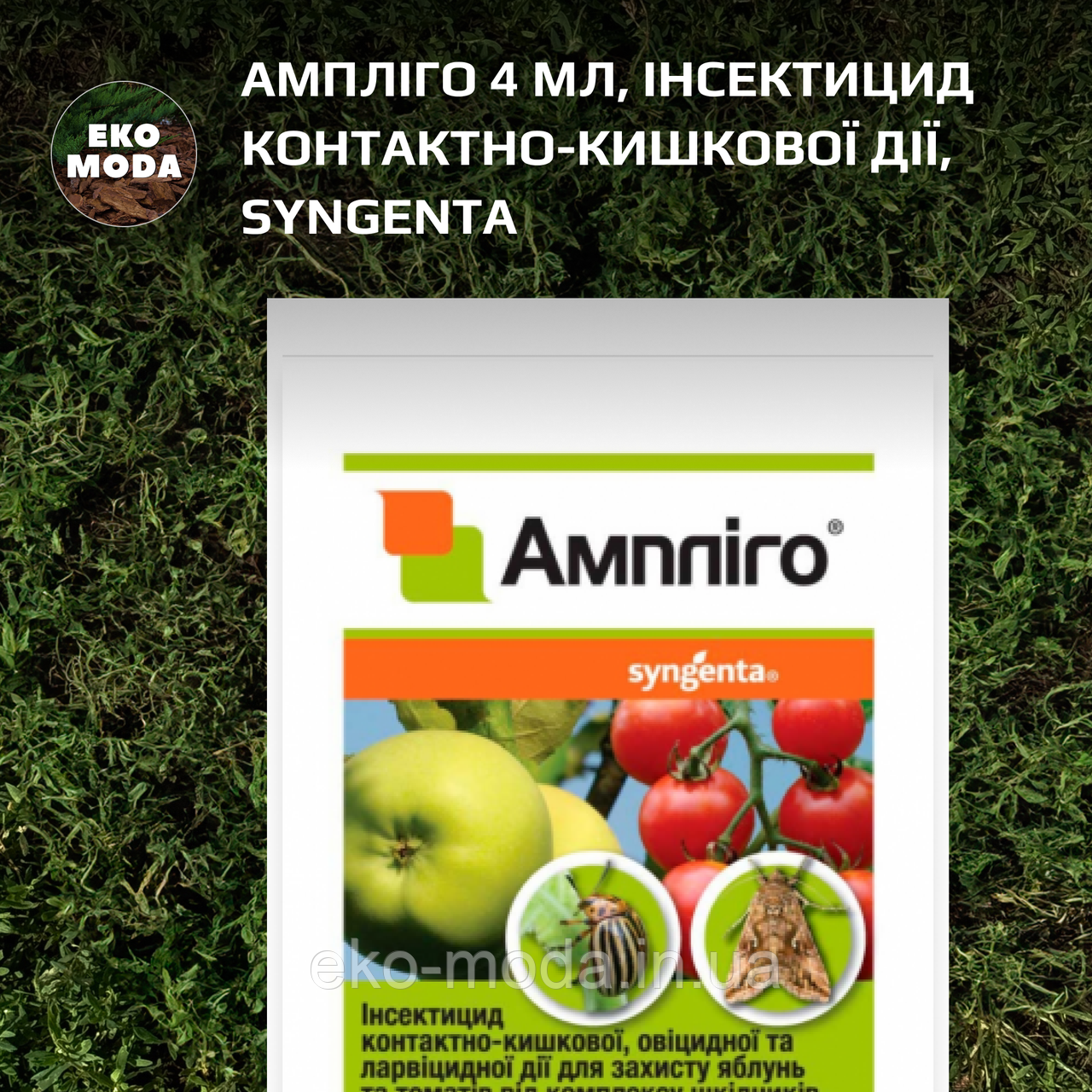 Ампліго 4 мл, інсектицид контактно-кишкової дії, Syngenta