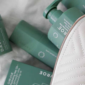 Лінійка CURLICUE