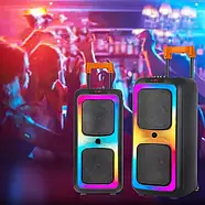 Акустична переносна колонка-валіза на коліщатках NDR-1097 40Вт, фото 3