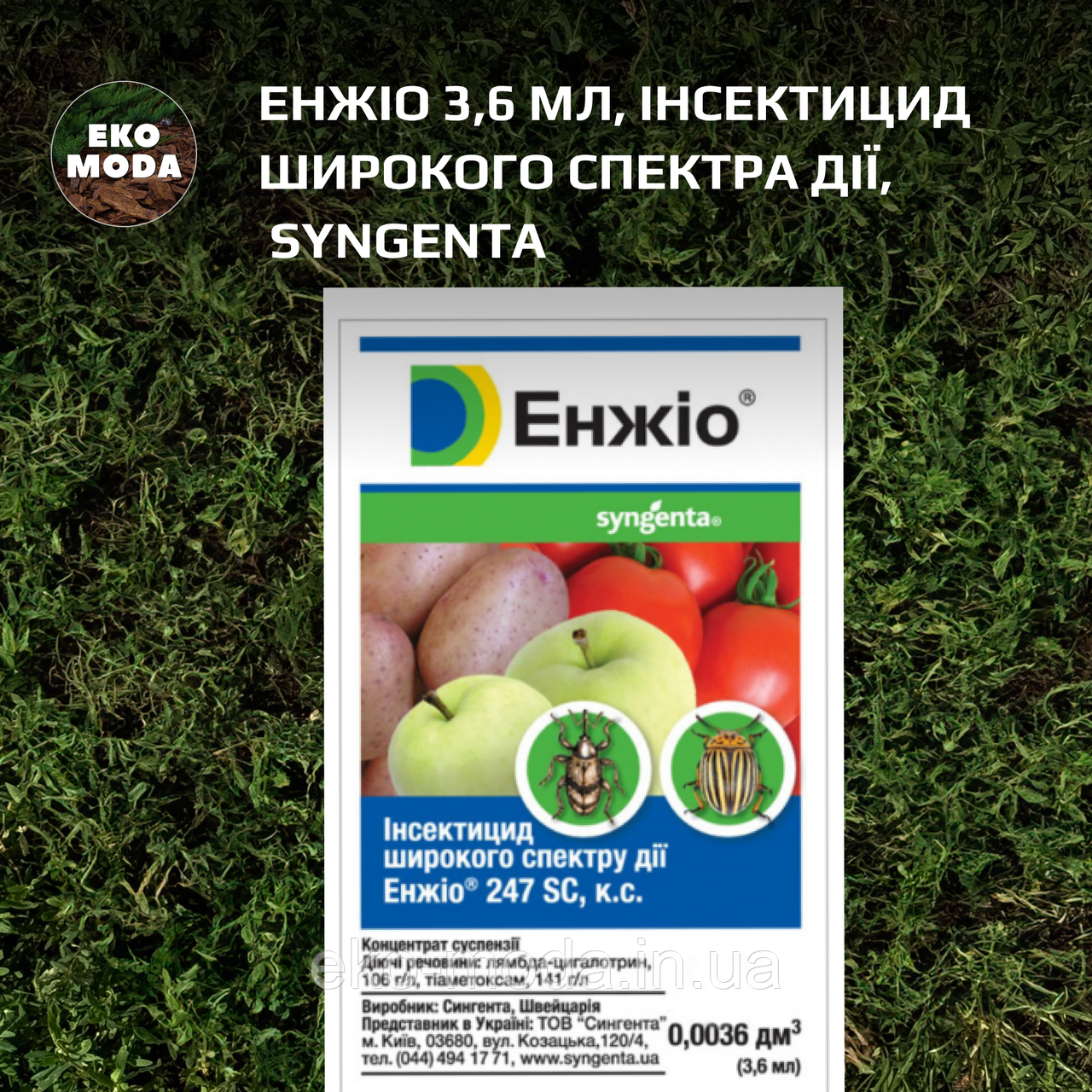 Енжіо 3,6 мл, Інсектицид широкого спектра дії, Syngenta
