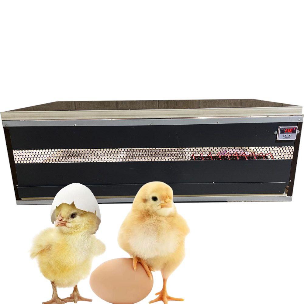 Брудер для курчат, повний комплект, напівпрофесійний обігрівач, для використання в домашньому господарстві, фото 1