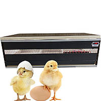 Брудер для цыплят, полный комплект, полупрофессиональный обогреватель, для использования в домашнем хозяйстве