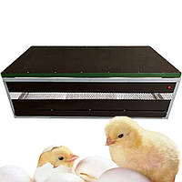 Брудер для цыплят, полупрофессиональный, обогрев, удобные условия для птиц