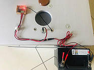 Інкубатор 12V, універсальний, для 54 яєць, з механічним переворотом, для домашнього господарства, фото 2