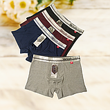Труси боксери чоловічі Vericoh  1 шт Розміри XL 2XL 3XL 4XL, фото 2