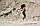 Скакалка спортивна PowerPlay 4204 Classic Jump Rope Зелена (2,7m.), фото 10