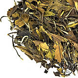 Чай білий Шоу Мэй, весна 2024, фото 3