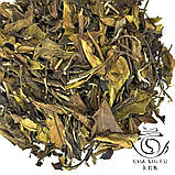 Чай білий Шоу Мэй, весна 2024, фото 4