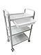 Косметологічний візок столик для інструментів на 3 полиці з скринькою візки косметологічні 099-5_ white, фото 2