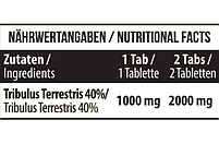 Трибулус Tribulus 1000 mg MST 90 таблеток, фото 4