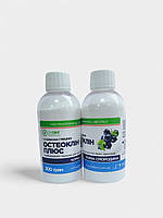 Чорна смородина