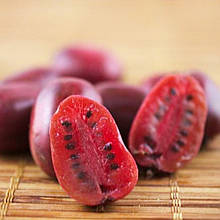 Актинідія  плодонос Аргута Пурпурна (горщик 0,5л)