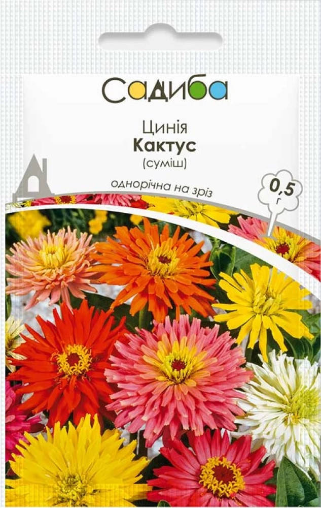 Насіння цинії (Майори) Кактус суміш 0,5 г, Нім Zaden