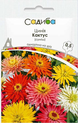 Насіння цинії (Майори) Кактус суміш 0,5 г, Нім Zaden, фото 1