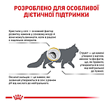 Корм для дорослих котів ROYAL CANIN URINARY S/O CAT 0.4 кг, фото 4