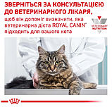Корм для дорослих котів ROYAL CANIN URINARY S/O CAT 0.4 кг, фото 8