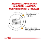 Корм для дорослих котів ROYAL CANIN URINARY S/O CAT 0.4 кг, фото 6