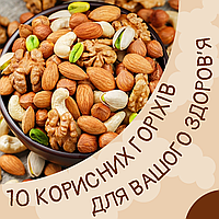 Топ-10 корисних горіхів: Як обрати та які їхні переваги?