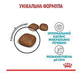 Корм для котів ROYAL CANIN URINARY CARE 0.4 кг, рекомендований для підтримання здоров’я сечовивідних шляхів, фото 5